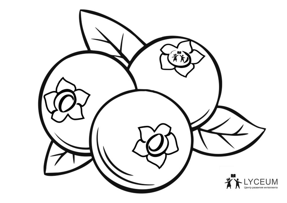 80-80