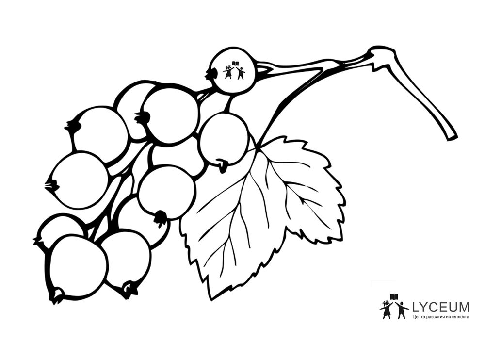 81-81