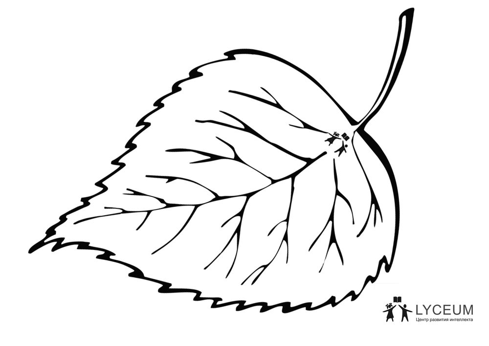 67-67